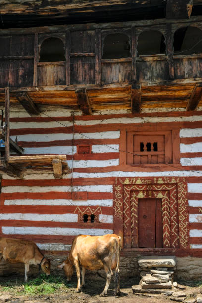 istockphoto-1327437344-612x612